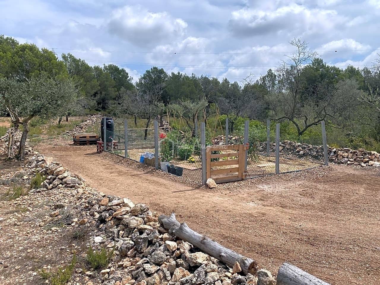 Teren niezagospodarowany na sprzedaż w El Perello - 19 000 € (Ref: 7748020)