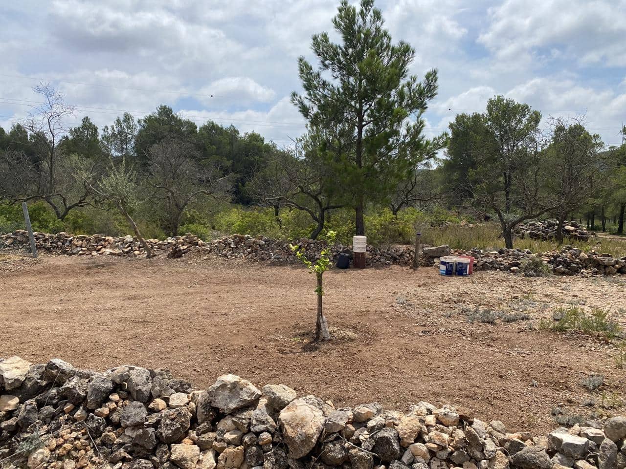 Teren niezagospodarowany na sprzedaż w El Perello - 19 000 € (Ref: 7748020)