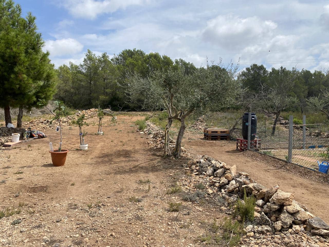 Teren niezagospodarowany na sprzedaż w El Perello - 19 000 € (Ref: 7748020)
