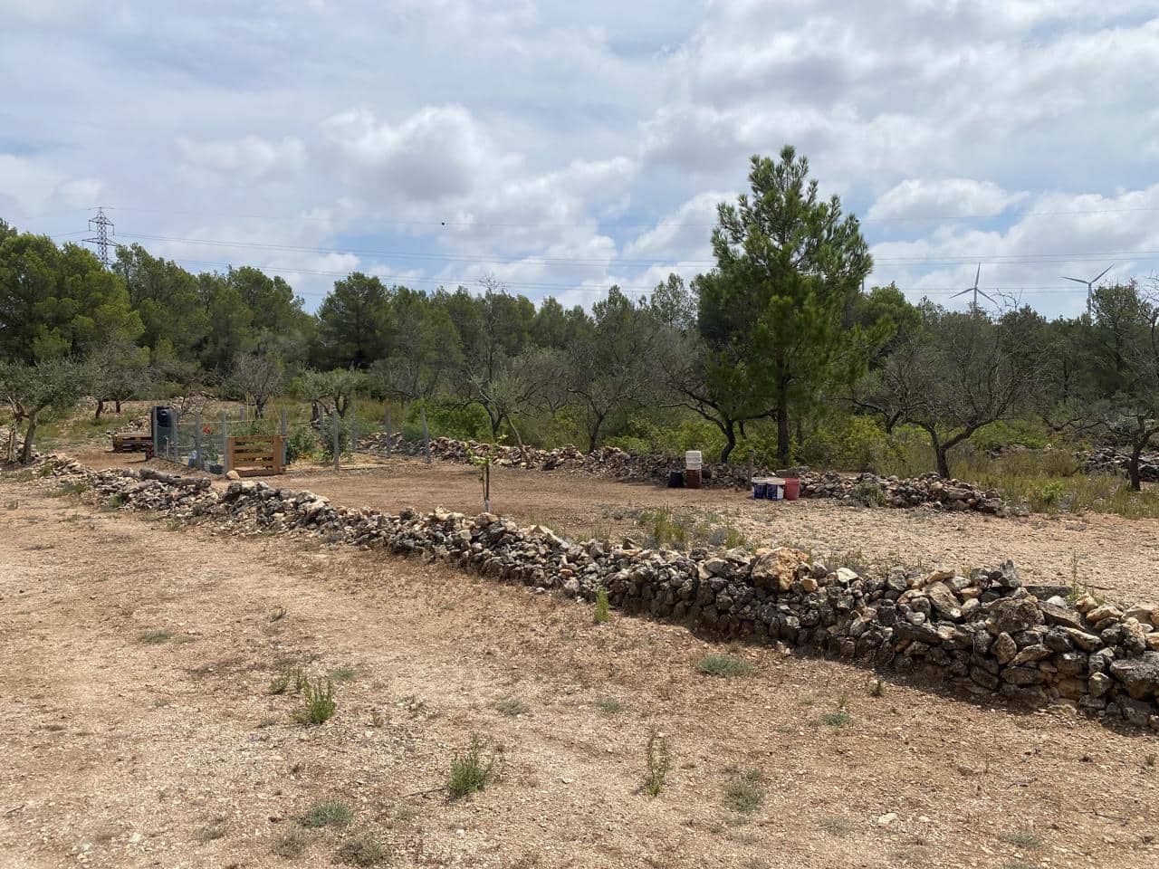 Teren niezagospodarowany na sprzedaż w El Perello - 19 000 € (Ref: 7748020)