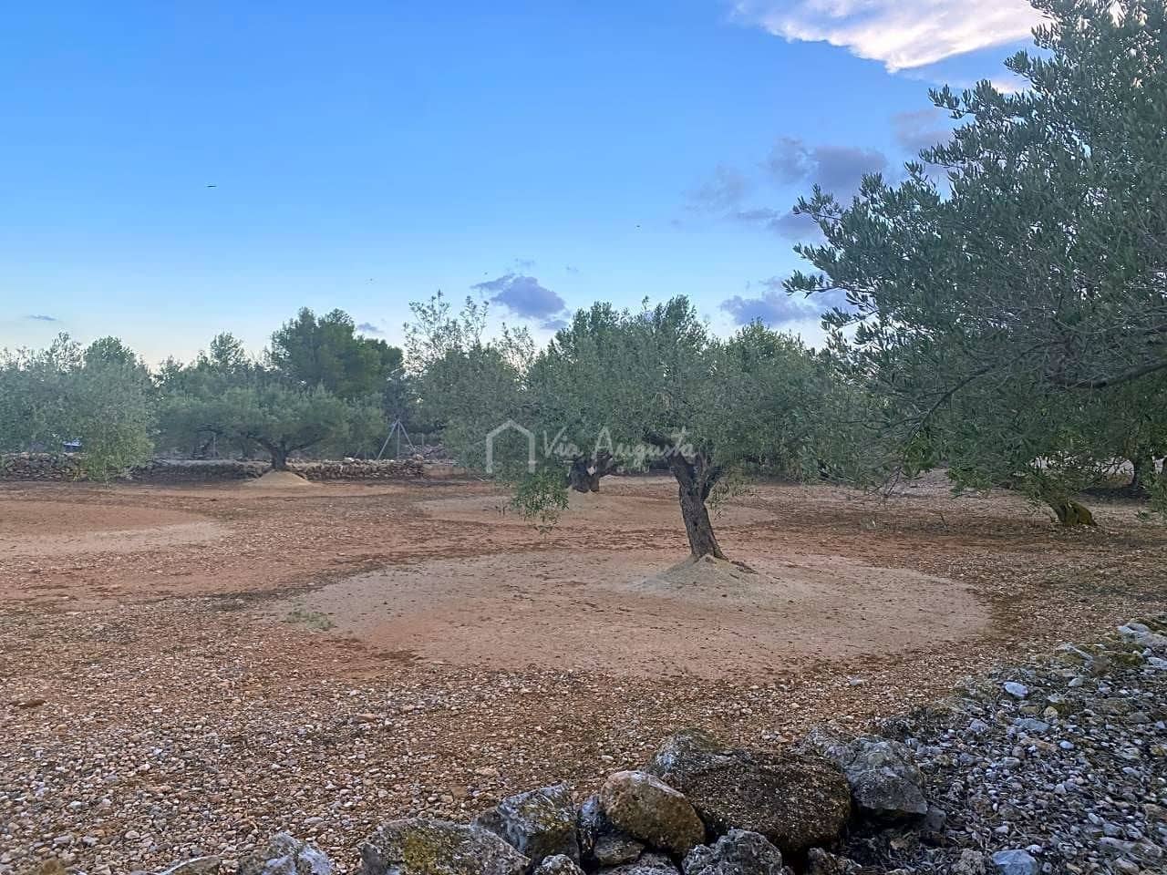 5 sovrum Finca/Hus på landet till salu i L'Ametlla de Mar - 225 000 € (Ref: 7788733)