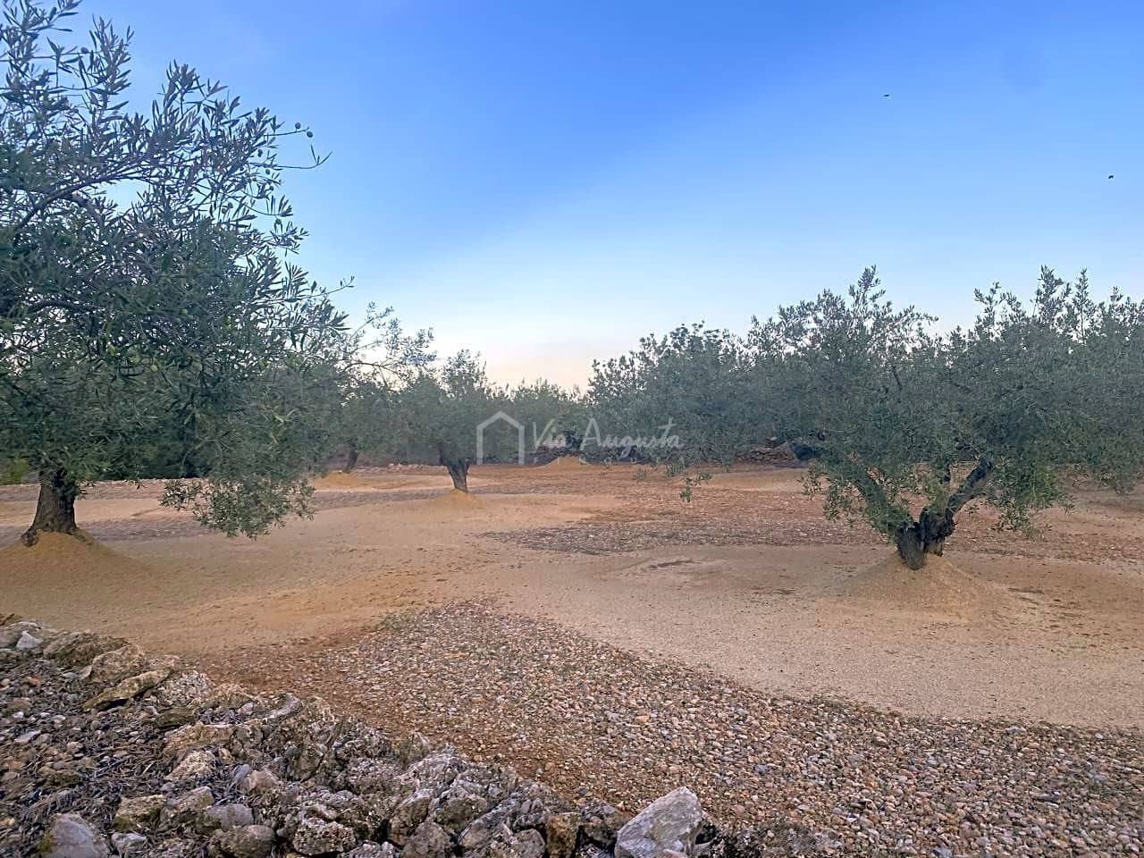 5 sovrum Finca/Hus på landet till salu i L'Ametlla de Mar - 225 000 € (Ref: 7788733)