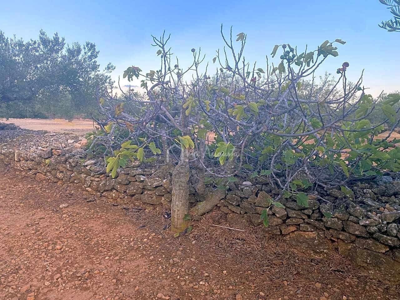 5 sovrum Finca/Hus på landet till salu i L'Ametlla de Mar - 225 000 € (Ref: 7788733)