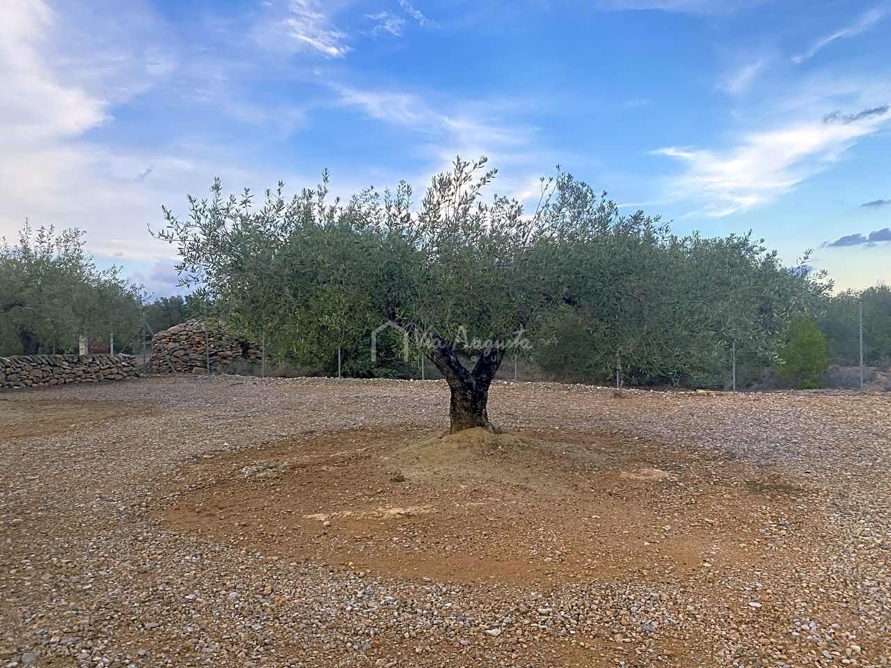 5 sovrum Finca/Hus på landet till salu i L'Ametlla de Mar - 225 000 € (Ref: 7788733)