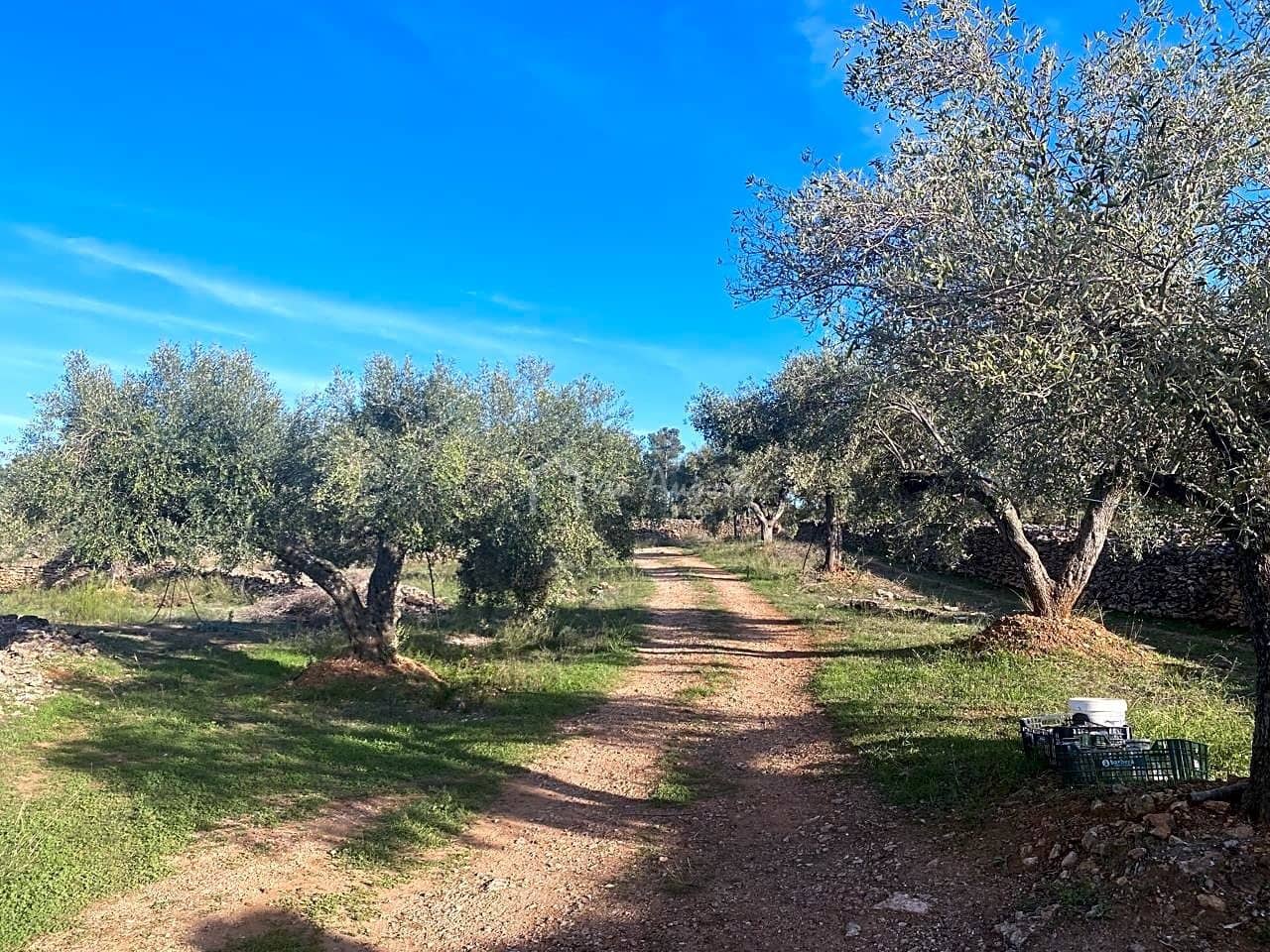 Grunde uden byggetilladelser til salg i Rasquera - € 48.000 (Ref: 7814408)