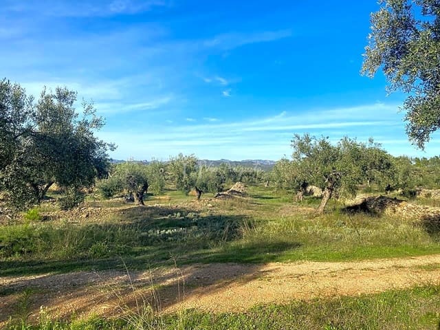 Undeveloped Land for sale in Rasquera - € 48,000 (Ref: 7814408)