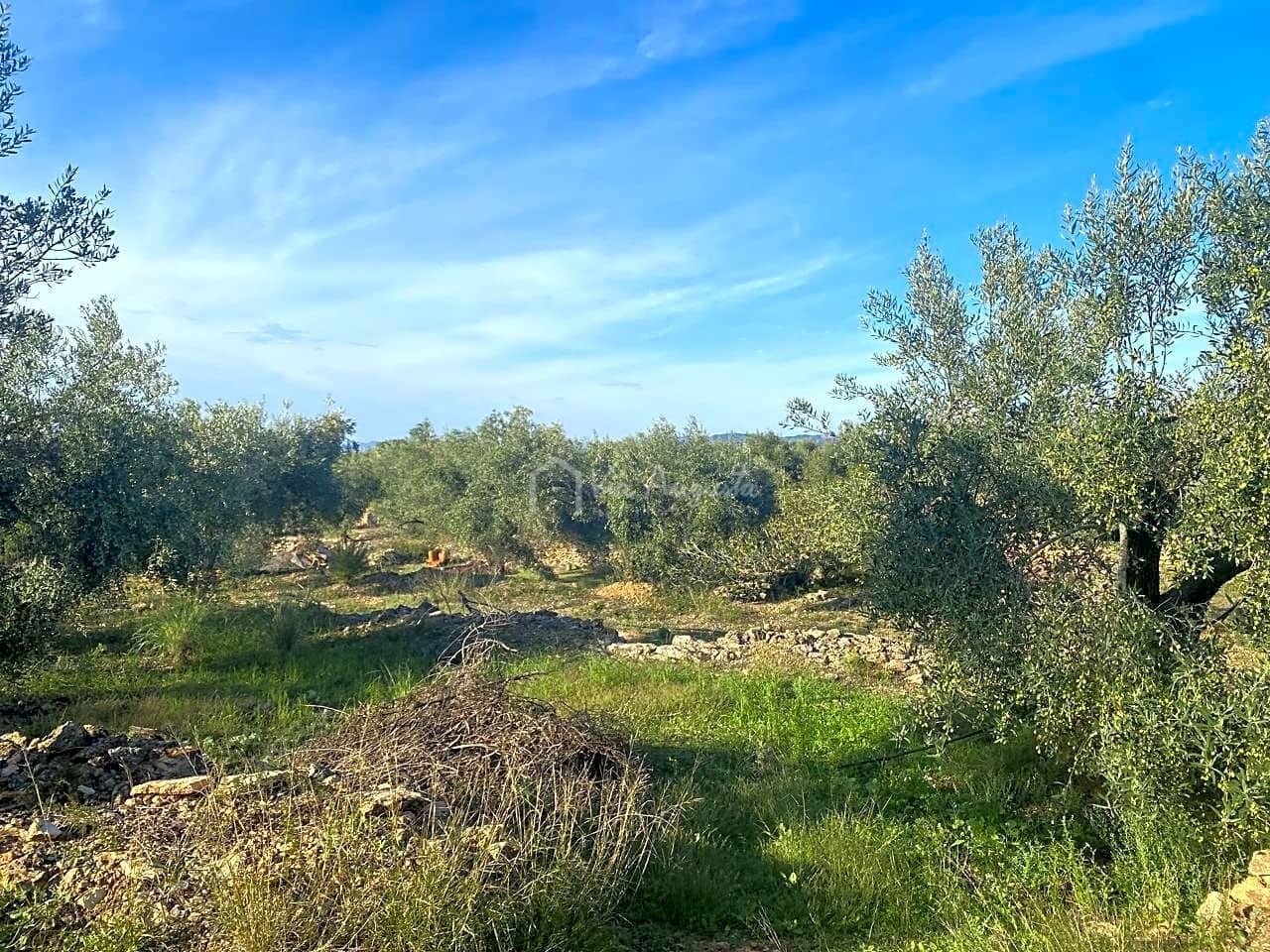 Grunde uden byggetilladelser til salg i Rasquera - € 48.000 (Ref: 7814408)