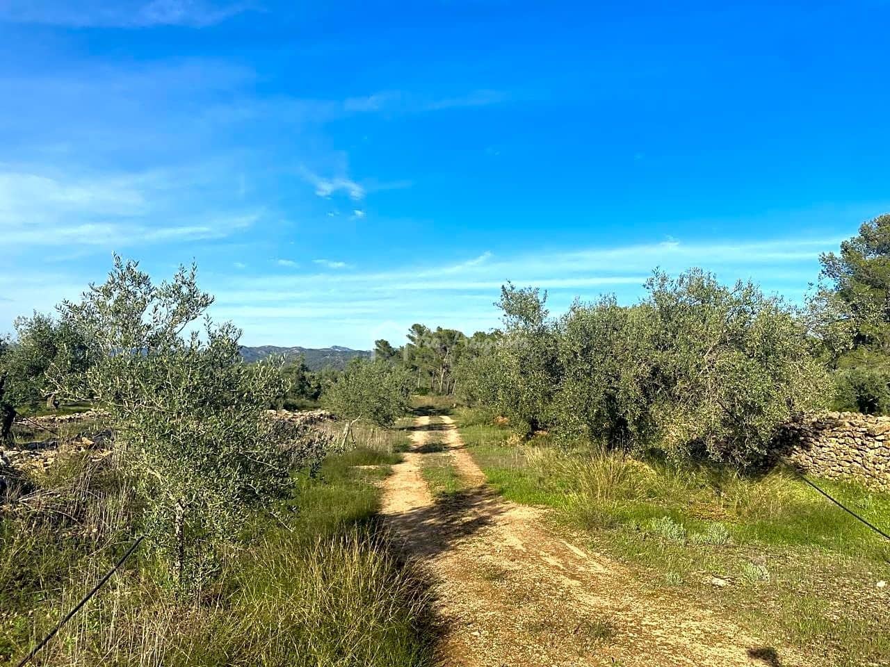 Grunde uden byggetilladelser til salg i Rasquera - € 48.000 (Ref: 7814408)