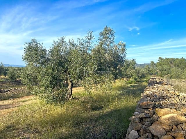 Undeveloped Land for sale in Rasquera - € 48,000 (Ref: 7814408)