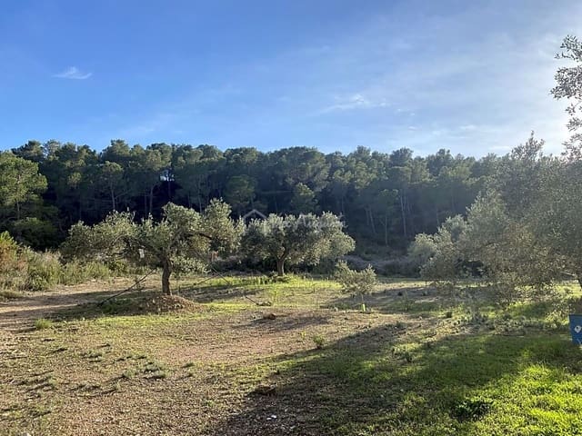 Undeveloped Land for sale in Rasquera - € 48,000 (Ref: 7814408)
