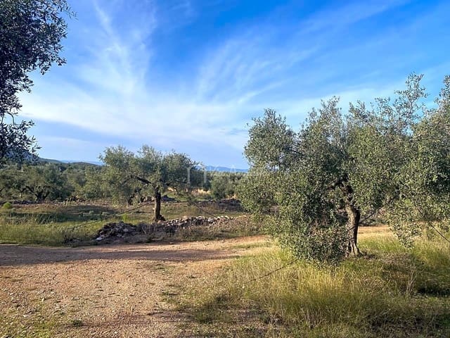 Undeveloped Land for sale in Rasquera - € 48,000 (Ref: 7814408)
