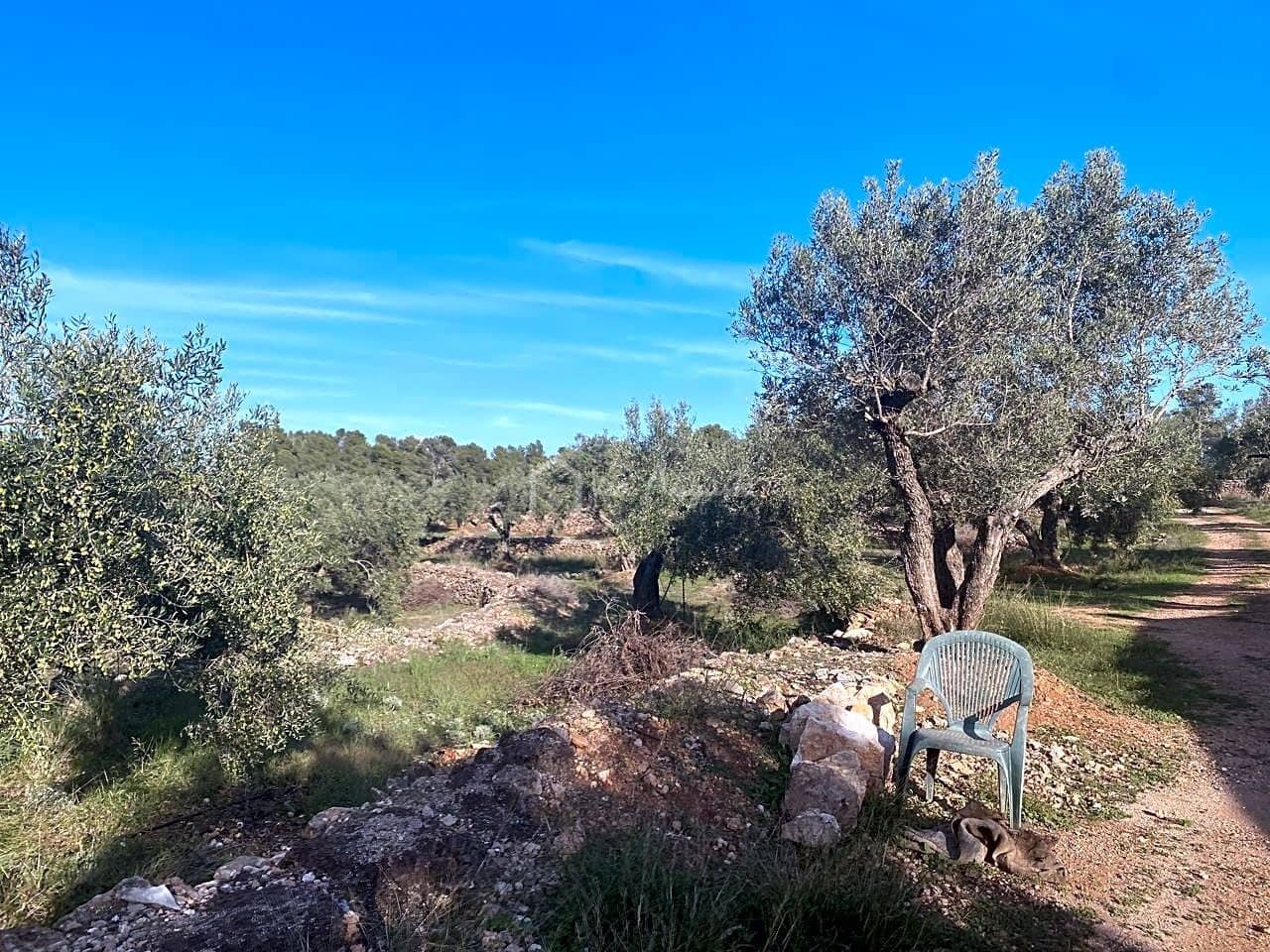 Grunde uden byggetilladelser til salg i Rasquera - € 48.000 (Ref: 7814408)