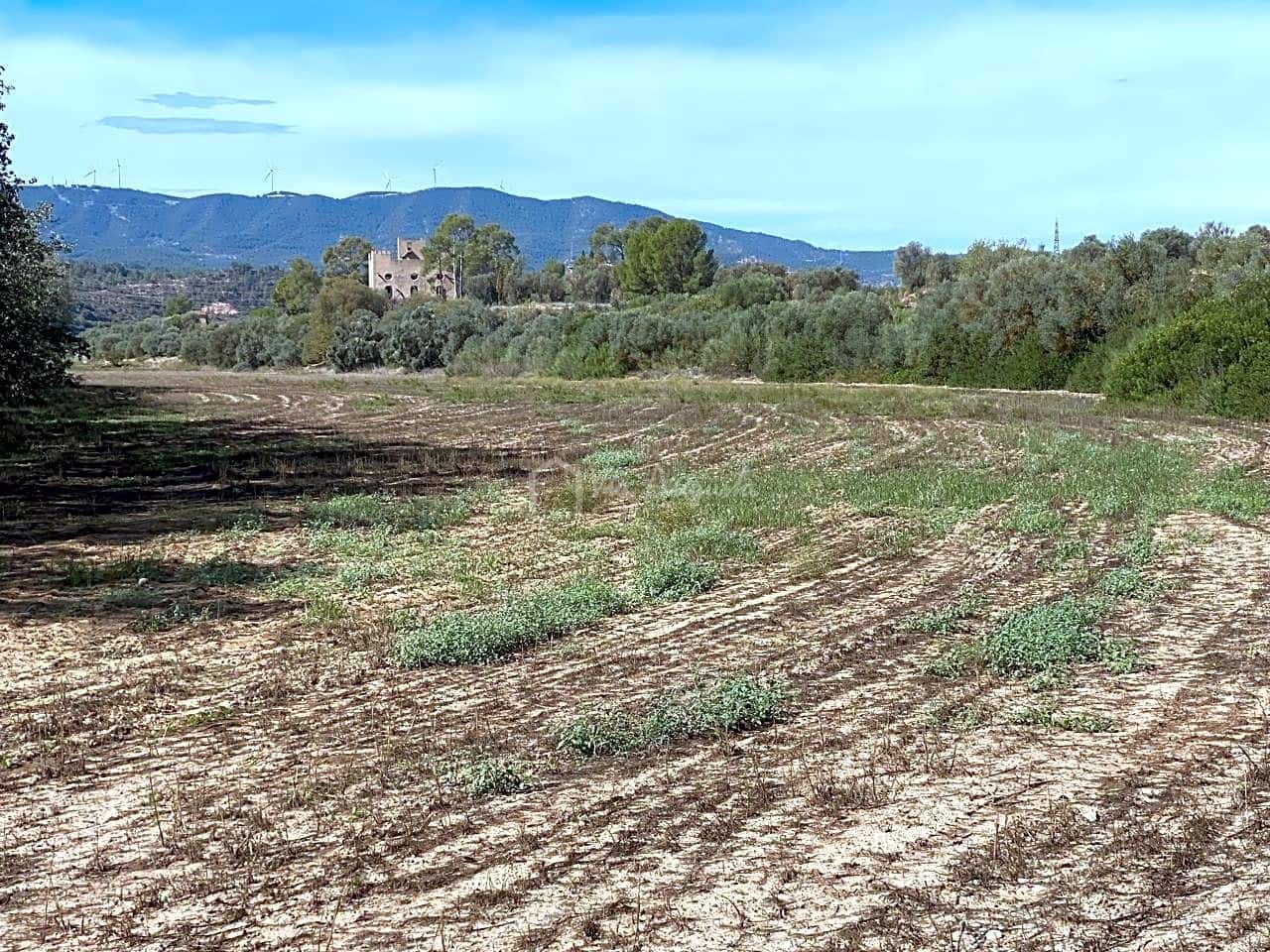 Grunde uden byggetilladelser til salg i Asco - € 450.000 (Ref: 7836289)