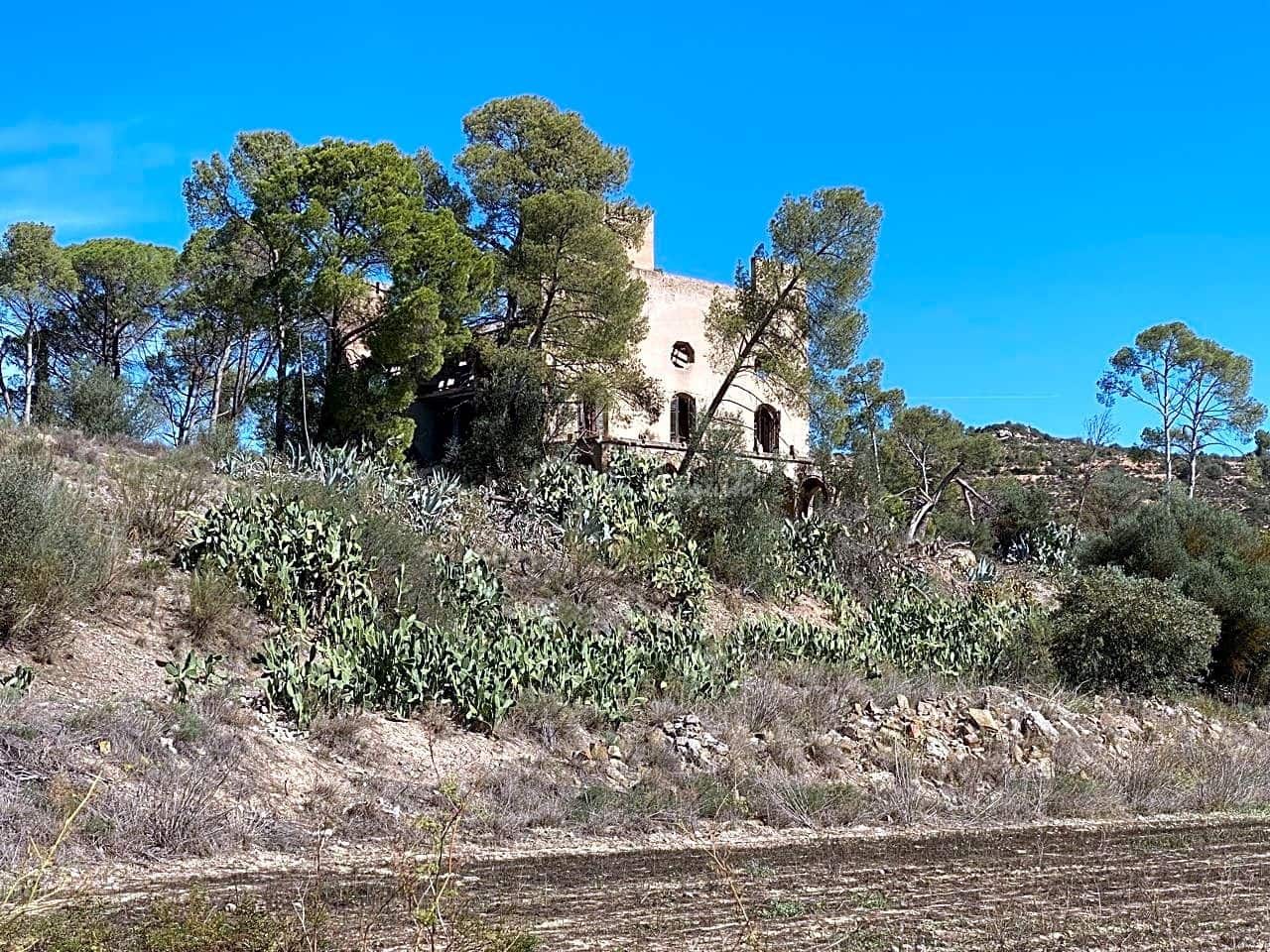 Grunde uden byggetilladelser til salg i Asco - € 450.000 (Ref: 7836289)