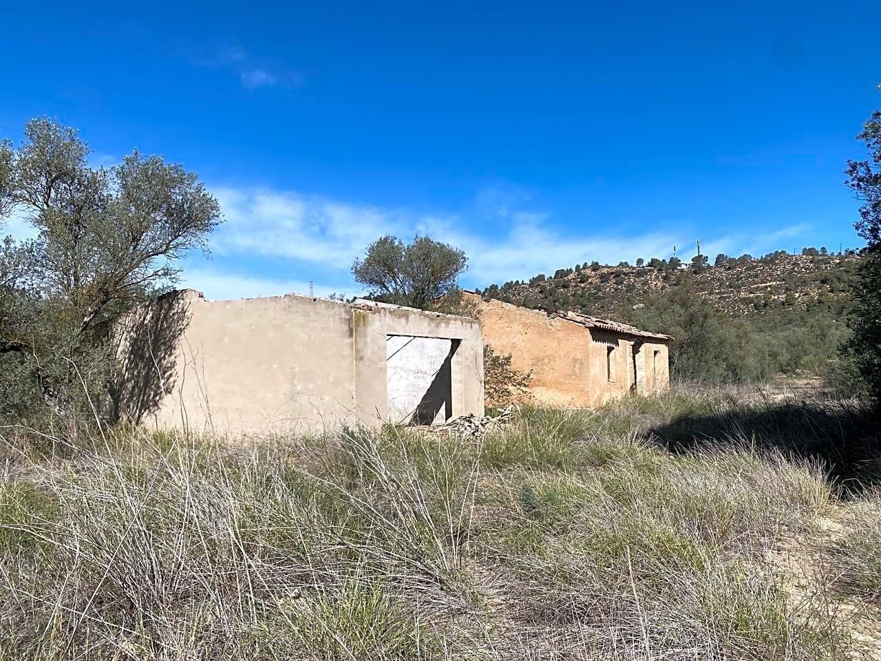 Grunde uden byggetilladelser til salg i Asco - € 450.000 (Ref: 7836289)