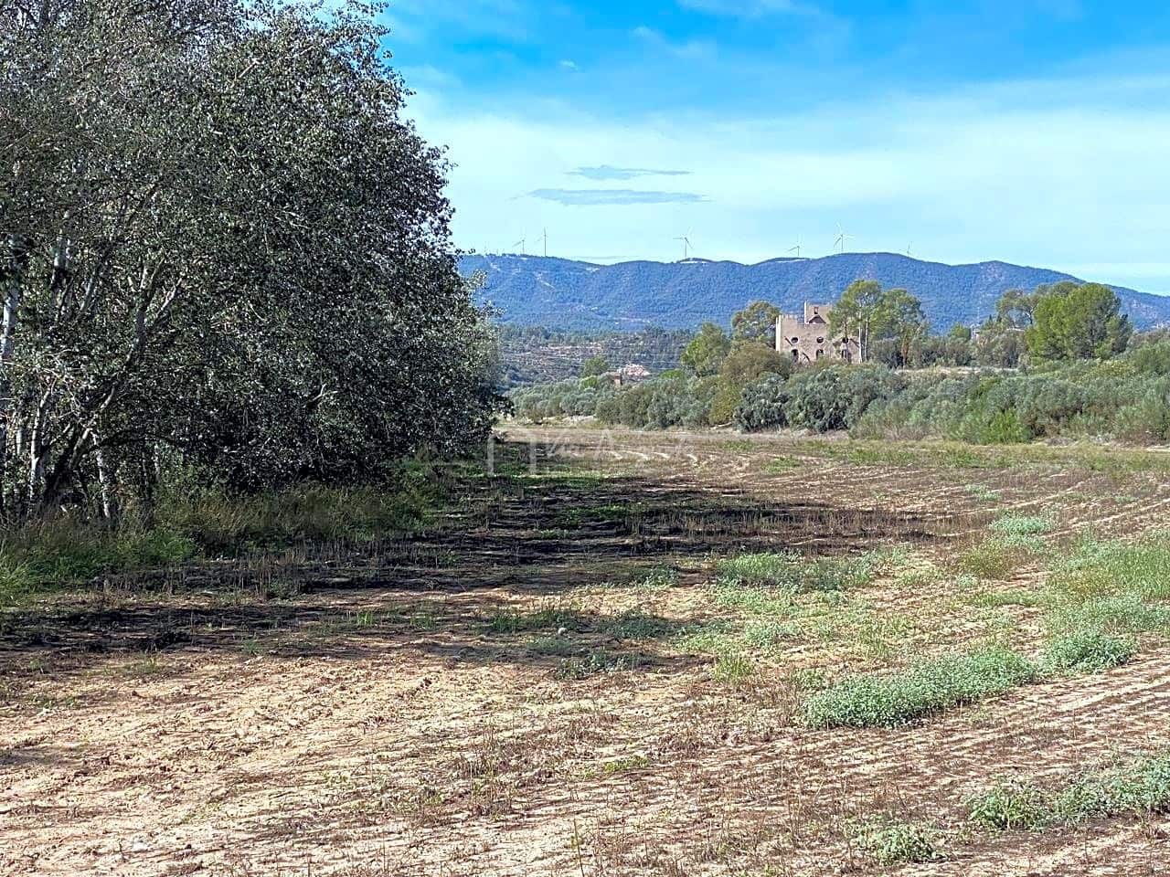 Grunde uden byggetilladelser til salg i Asco - € 450.000 (Ref: 7836289)