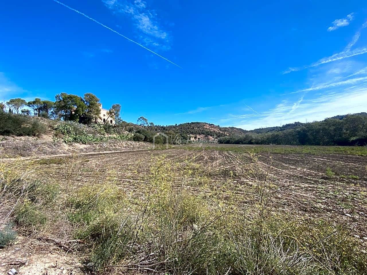 Grunde uden byggetilladelser til salg i Asco - € 450.000 (Ref: 7836289)