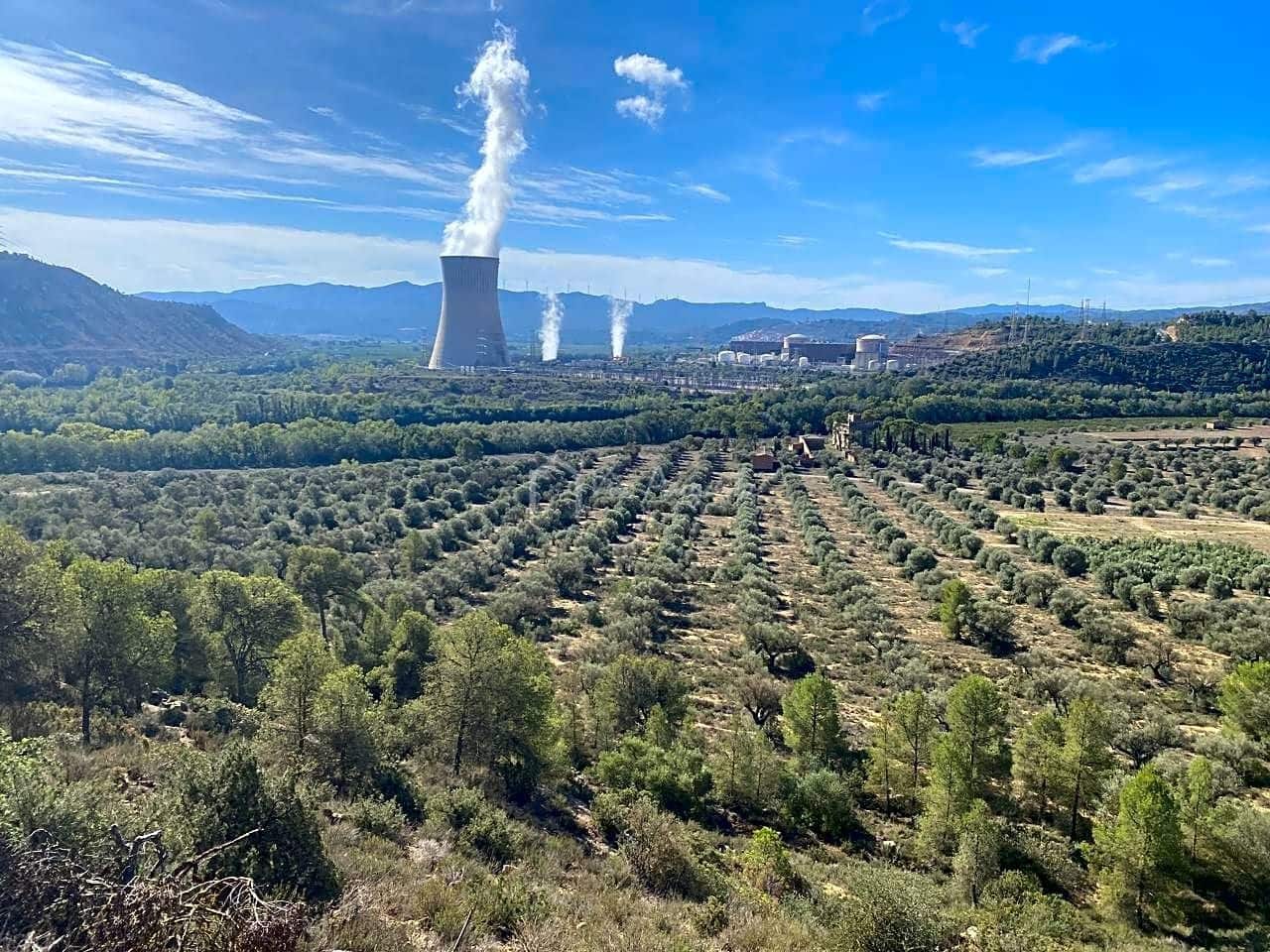 Grunde uden byggetilladelser til salg i Asco - € 450.000 (Ref: 7836289)