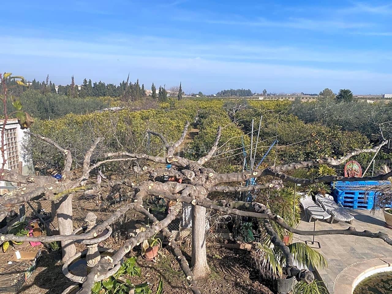 1 soverom Finca/Herregård til salgs i Camarles med svømmebasseng - € 295 000 (Ref: 8056736)