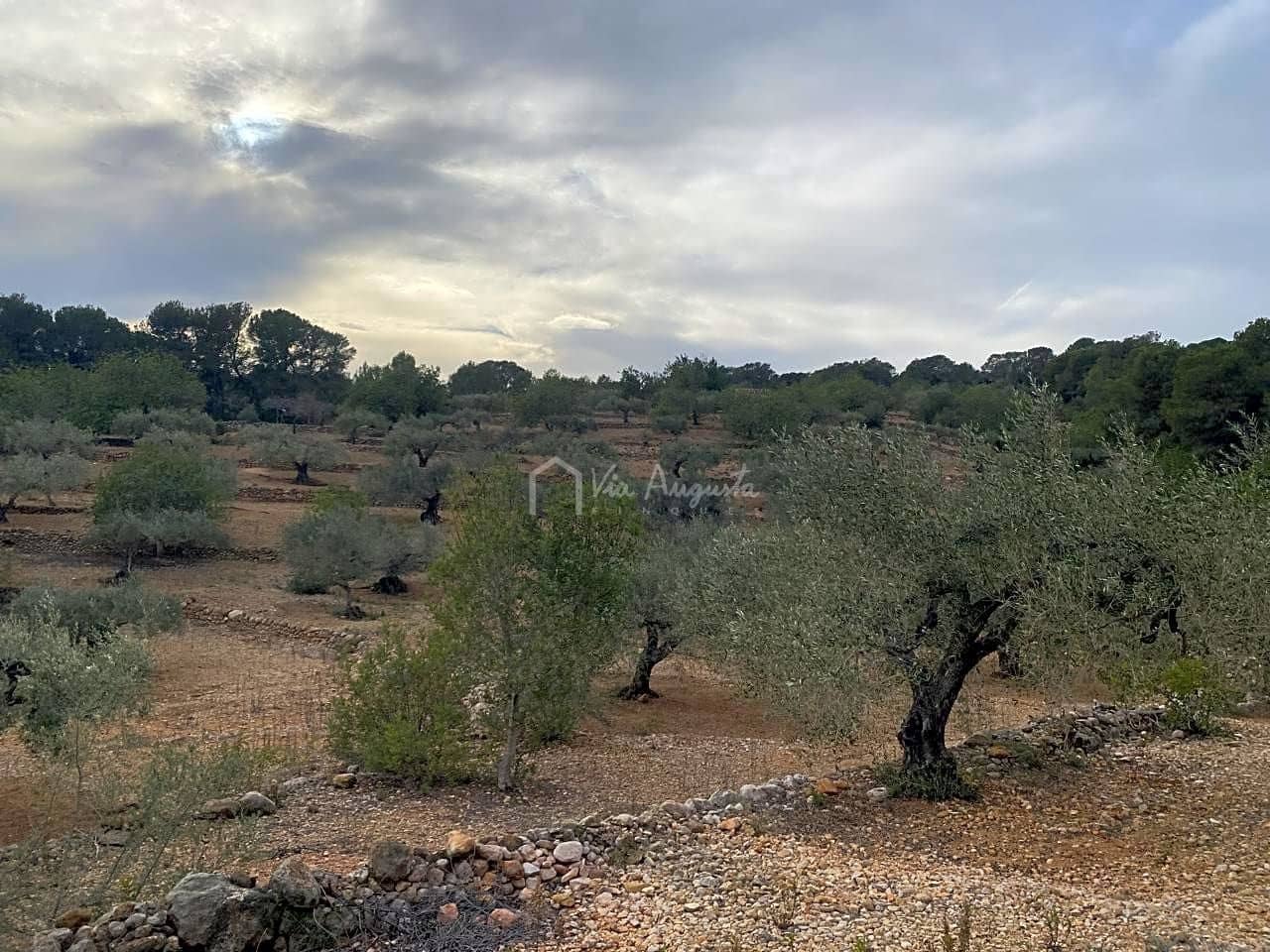 Mark till salu i El Perello - 60 000 € (Ref: 8094735)