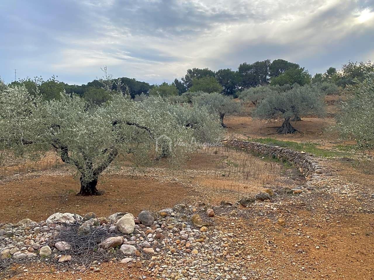 Mark till salu i El Perello - 60 000 € (Ref: 8094735)