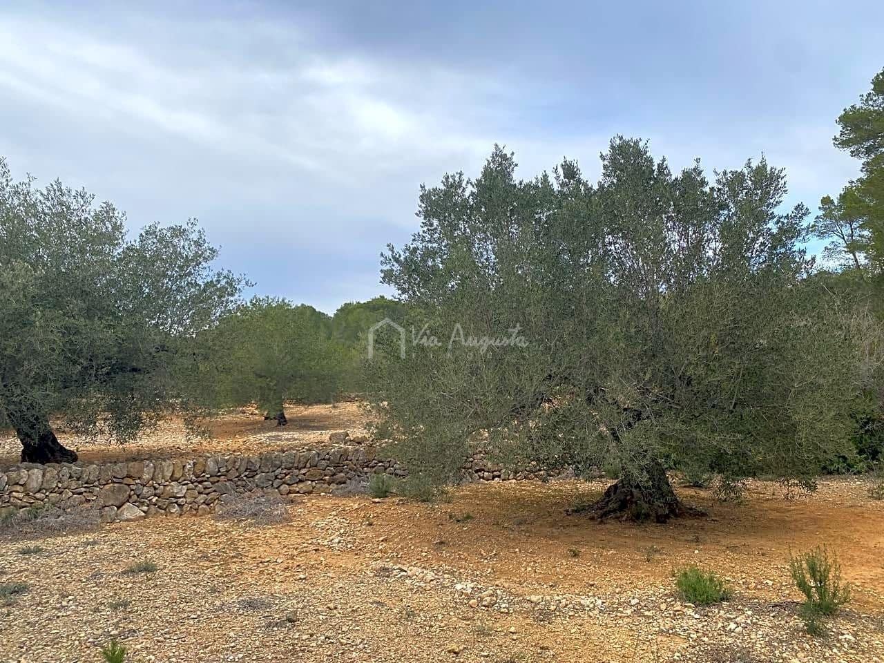 Mark till salu i El Perello - 60 000 € (Ref: 8094735)