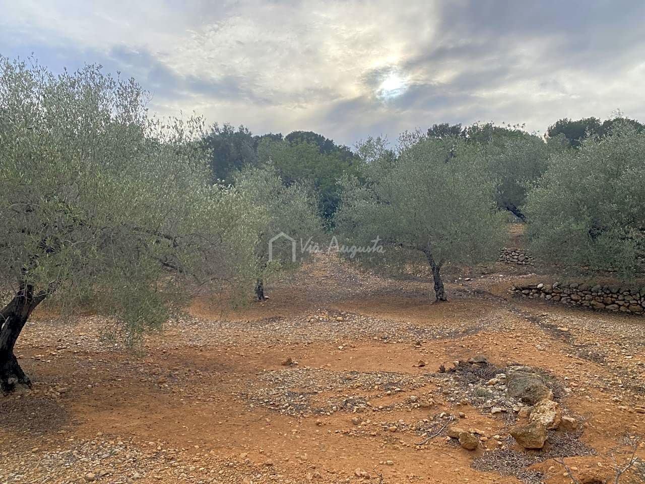 Mark till salu i El Perello - 60 000 € (Ref: 8094735)