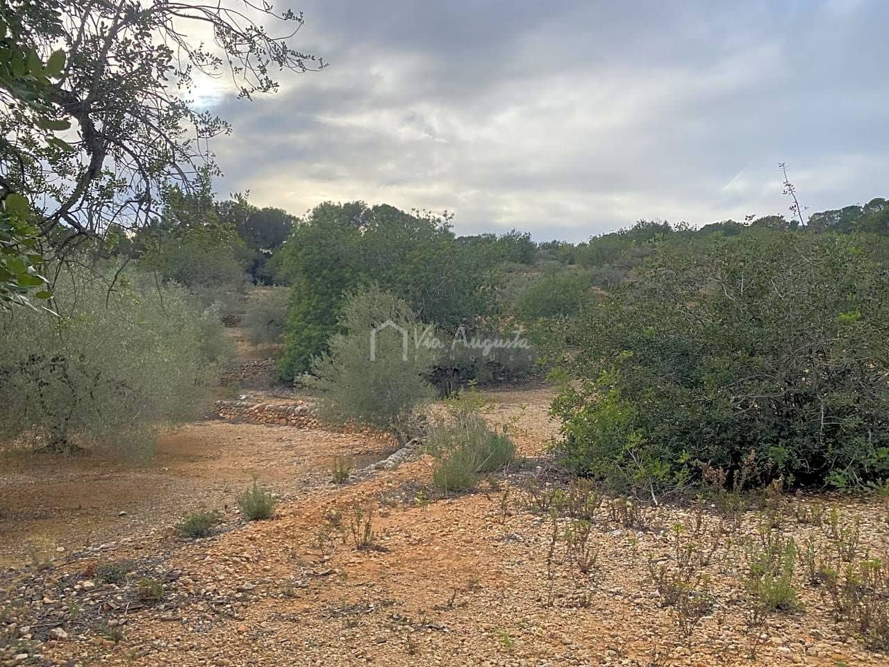 Mark till salu i El Perello - 60 000 € (Ref: 8094735)