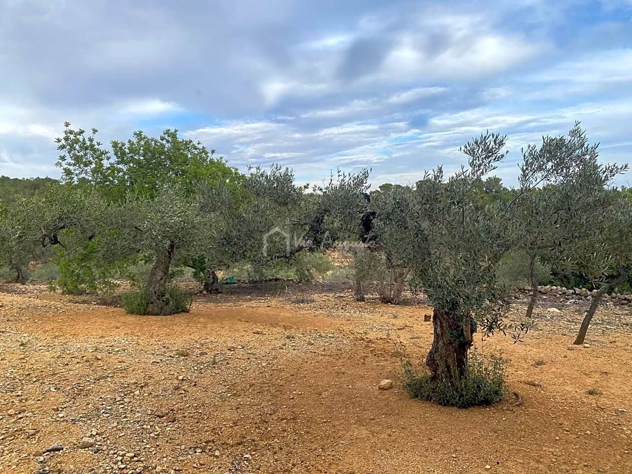 Mark till salu i El Perello - 60 000 € (Ref: 8094735)