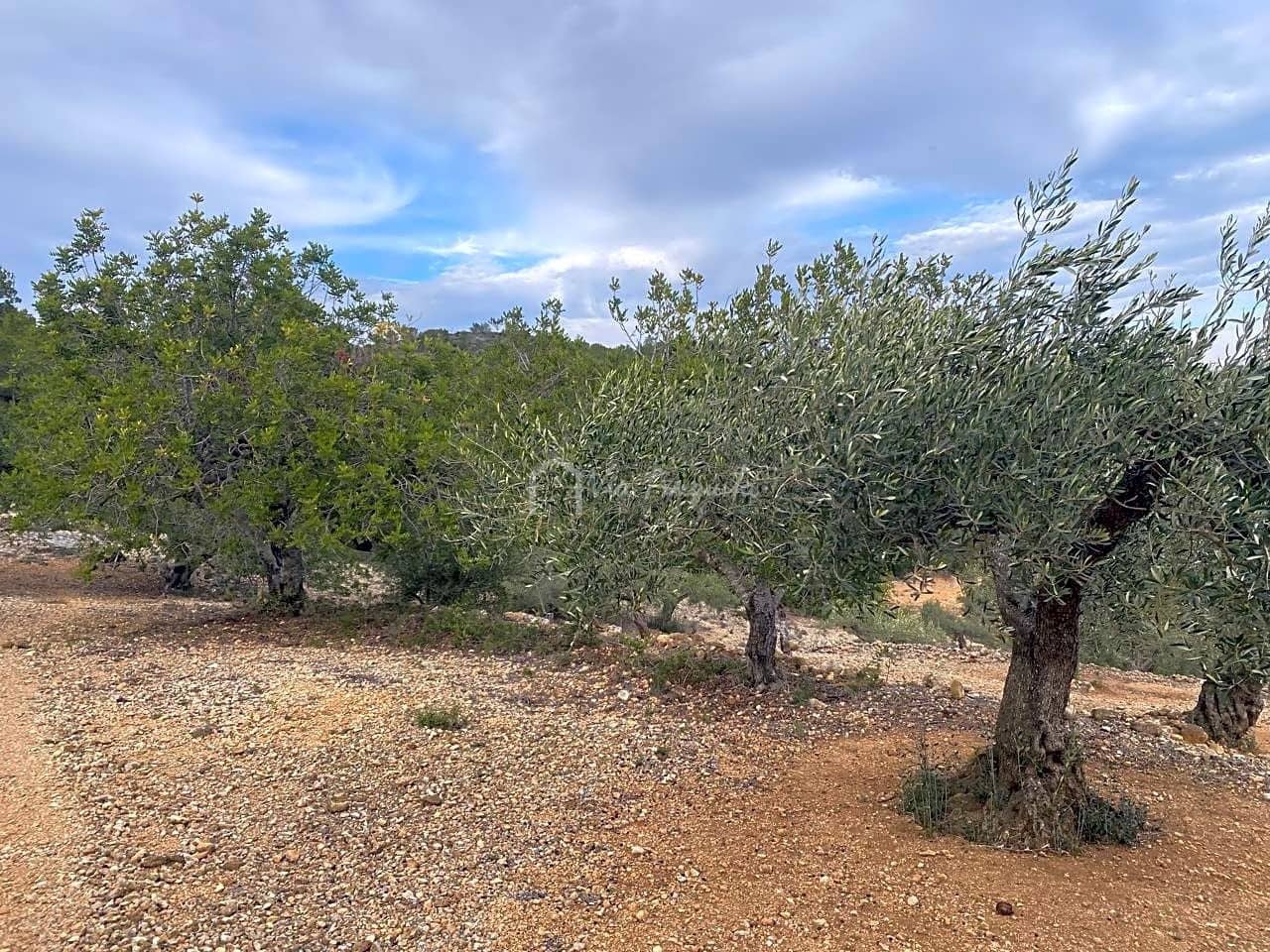 Mark till salu i El Perello - 60 000 € (Ref: 8094735)