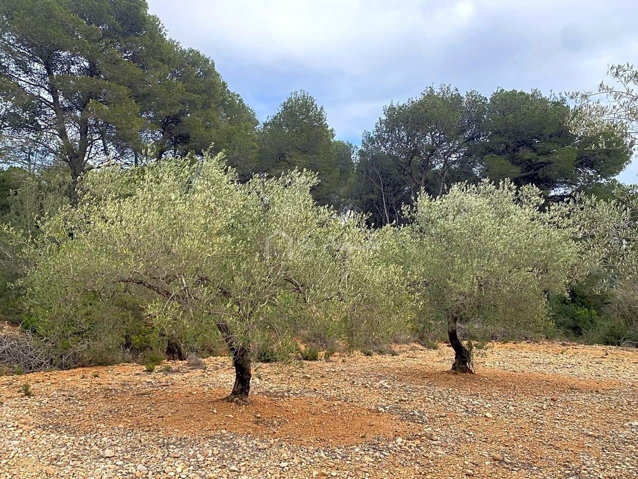 Mark till salu i El Perello - 60 000 € (Ref: 8094735)