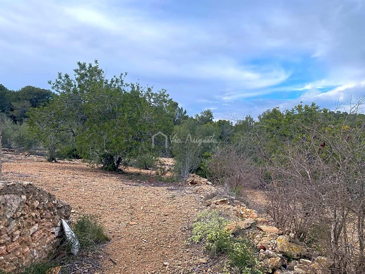 Mark till salu i El Perello - 60 000 € (Ref: 8094735)