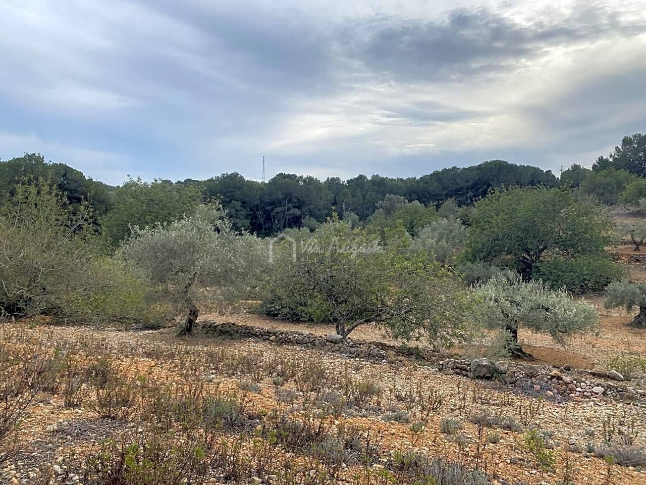 Mark till salu i El Perello - 60 000 € (Ref: 8094735)