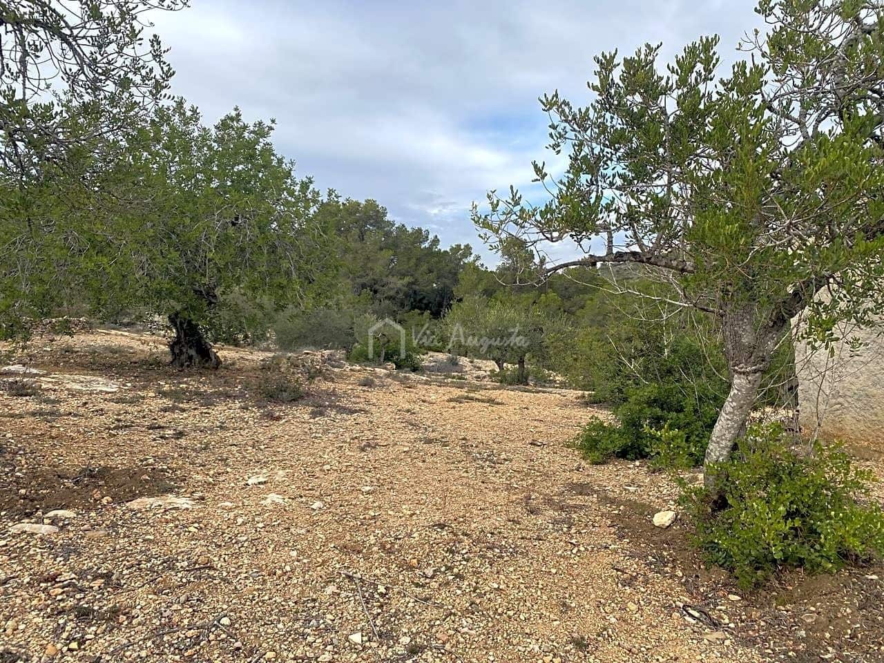 Mark till salu i El Perello - 60 000 € (Ref: 8094735)