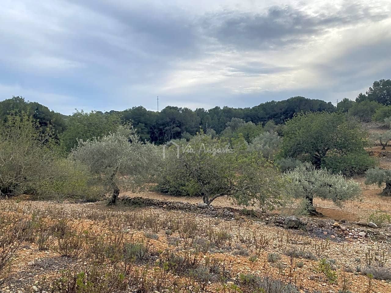 Mark till salu i El Perello - 60 000 € (Ref: 8094735)