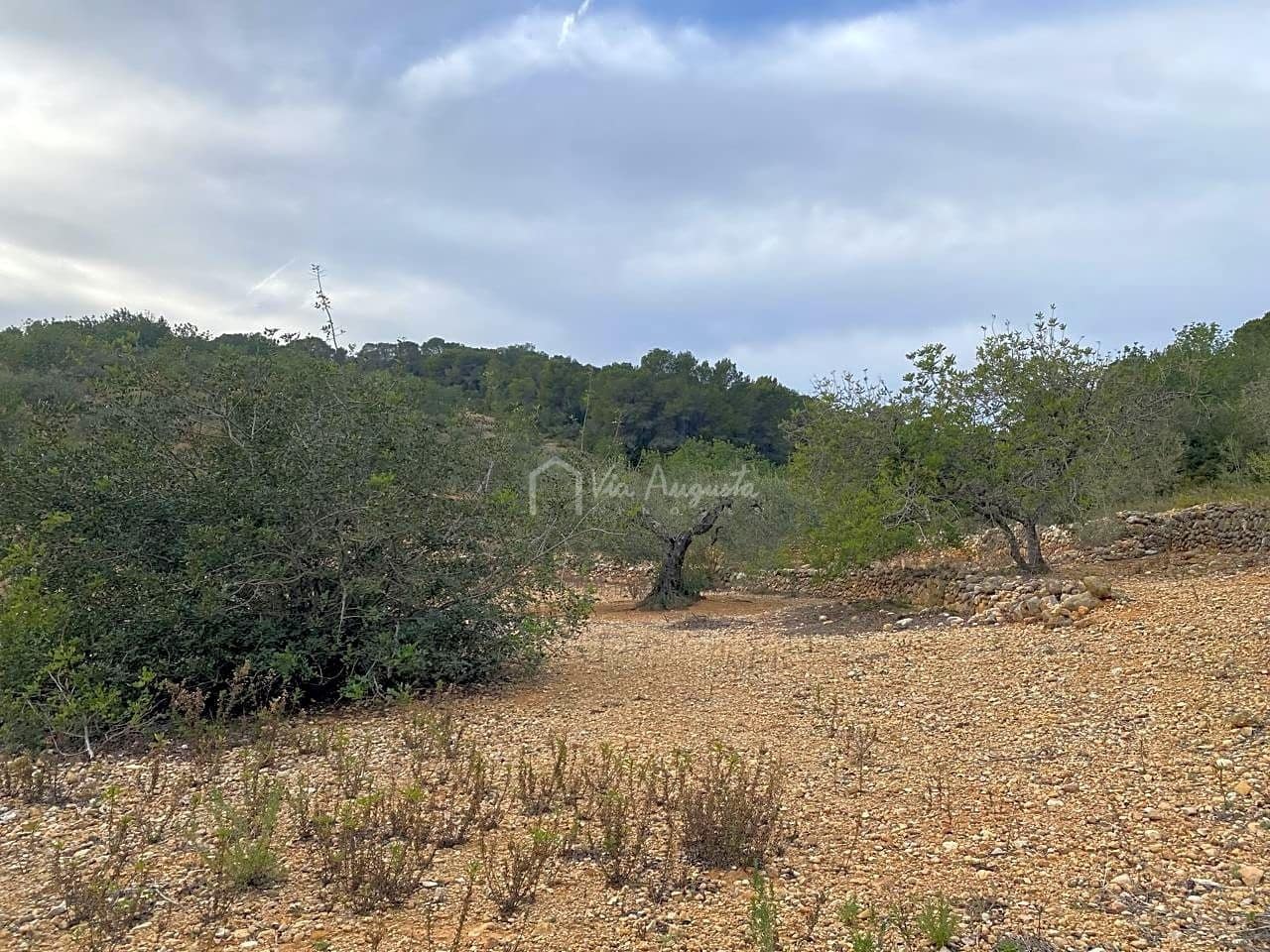 Mark till salu i El Perello - 60 000 € (Ref: 8094735)