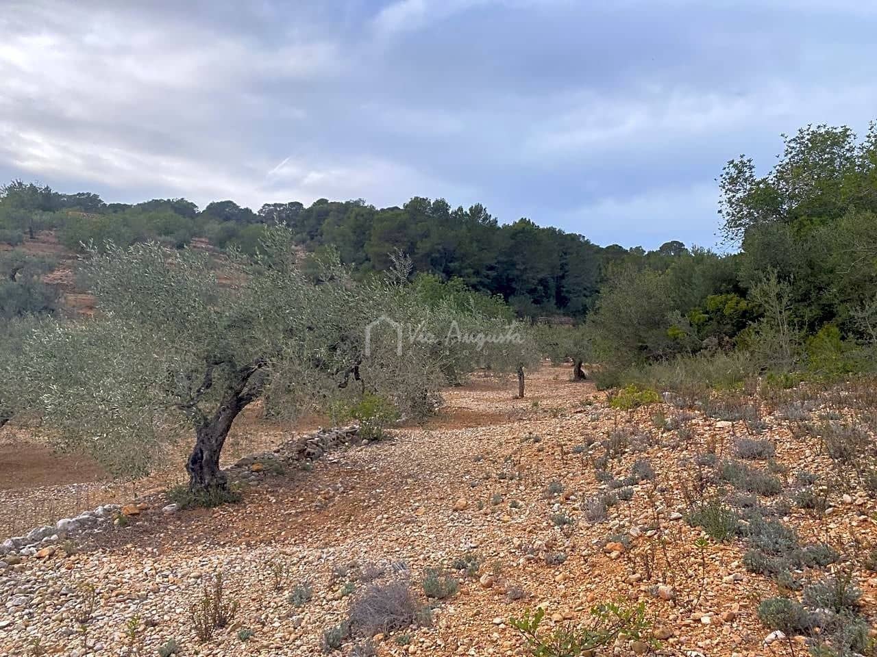 Mark till salu i El Perello - 60 000 € (Ref: 8094735)