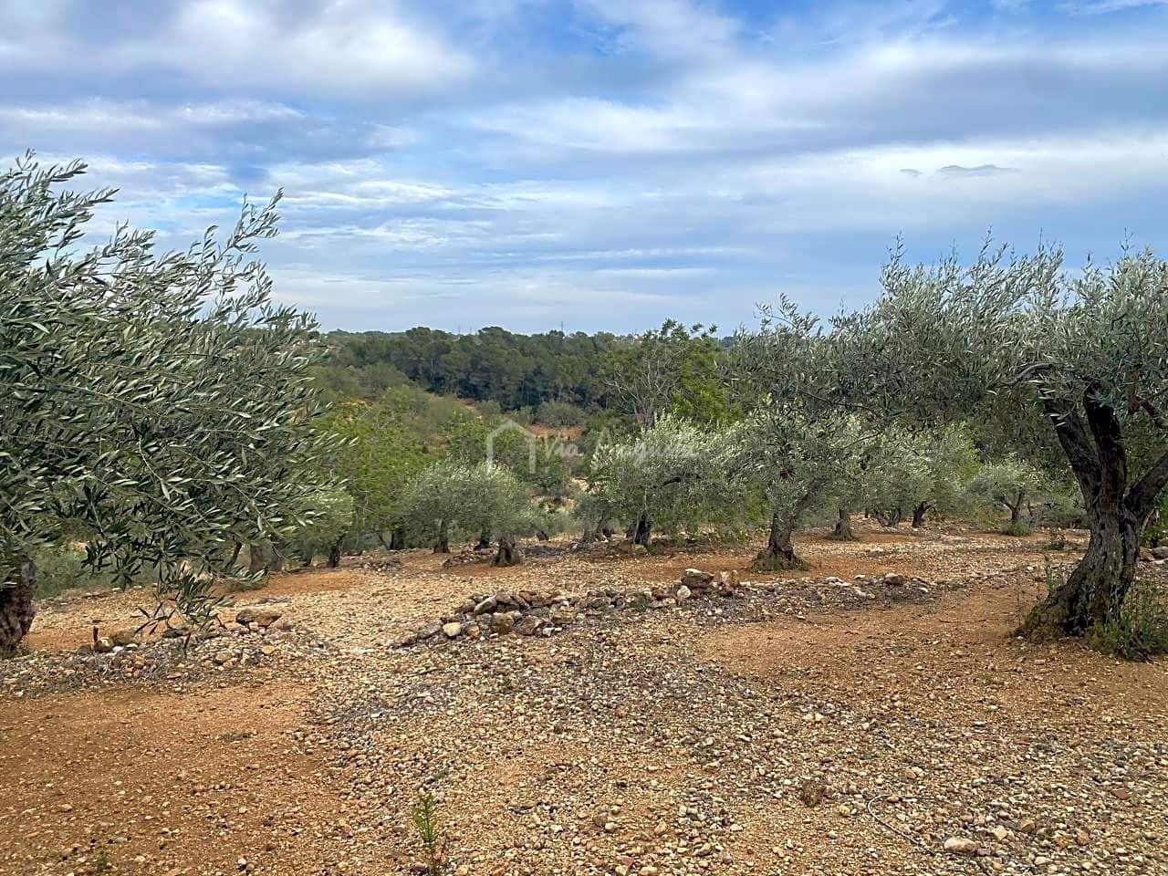 Mark till salu i El Perello - 60 000 € (Ref: 8094735)