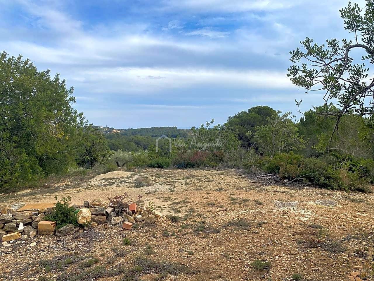 Mark till salu i El Perello - 60 000 € (Ref: 8094735)