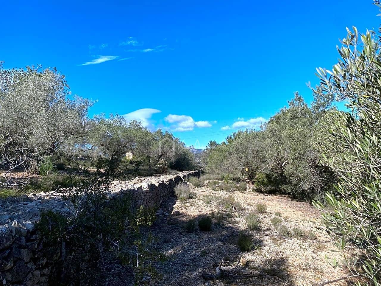 Terre non Aménagée à vendre à El Perello - 65 000 € (Ref: 8119255)