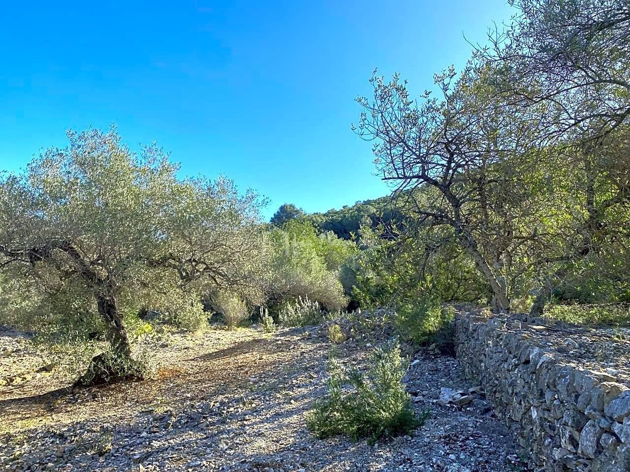 Terre non Aménagée à vendre à El Perello - 65 000 € (Ref: 8119255)