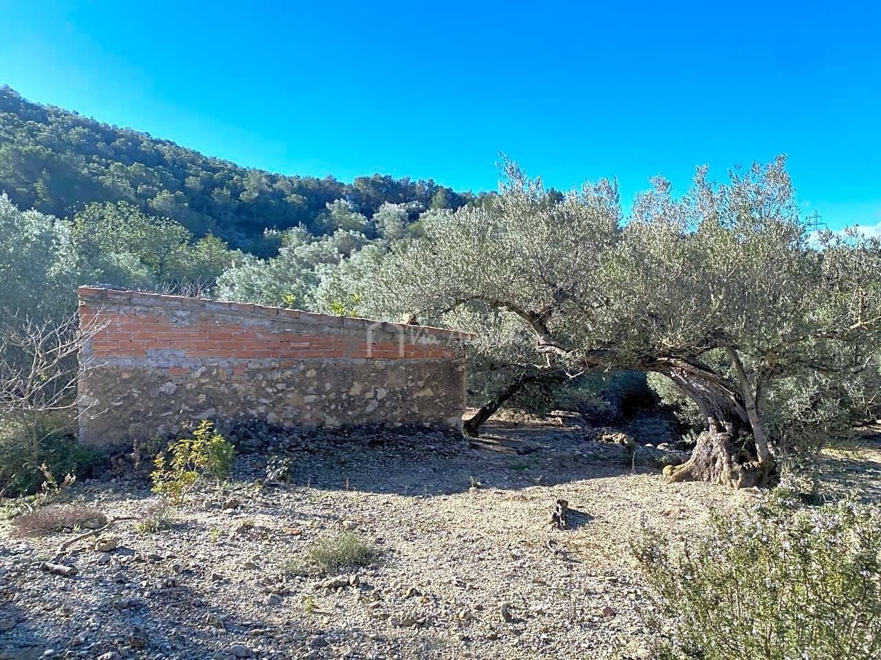 Terre non Aménagée à vendre à El Perello - 65 000 € (Ref: 8119255)