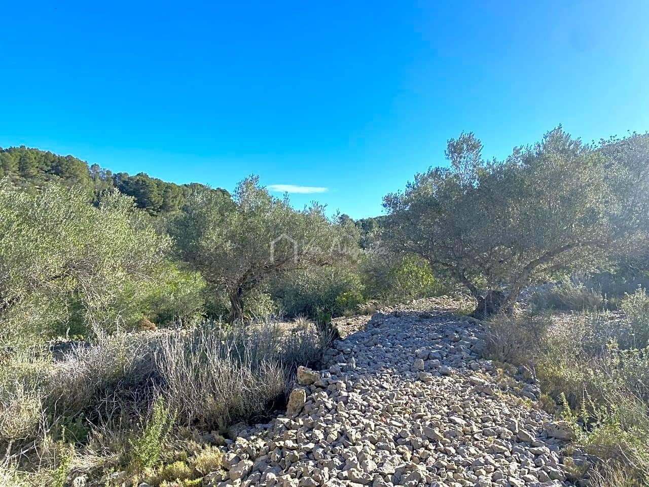 Terre non Aménagée à vendre à El Perello - 65 000 € (Ref: 8119255)