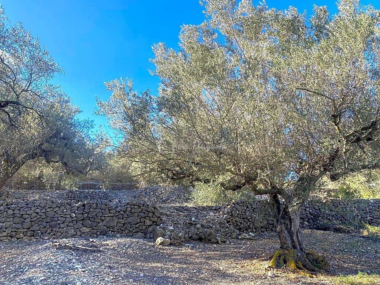 Terre non Aménagée à vendre à El Perello - 65 000 € (Ref: 8119255)