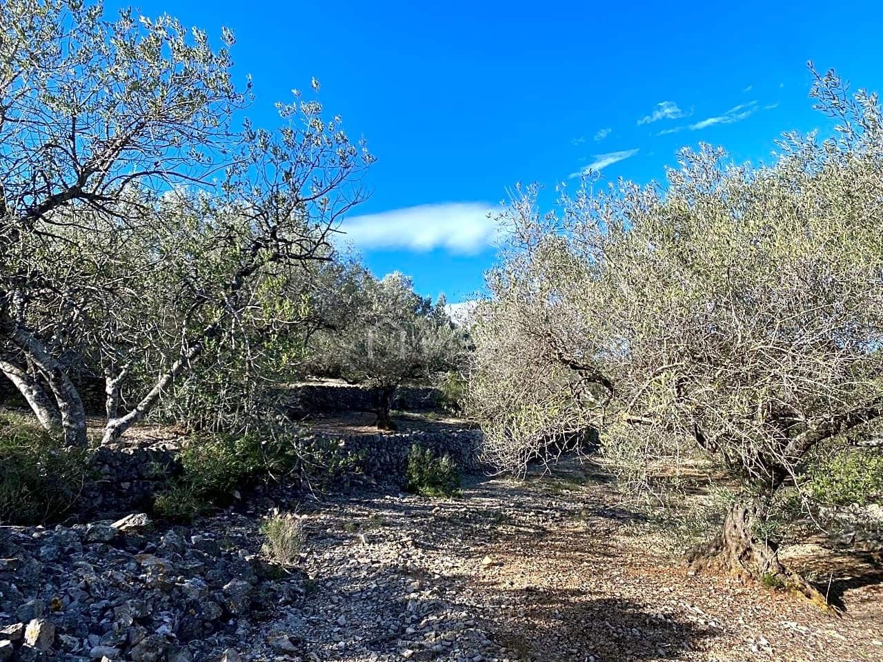 Terre non Aménagée à vendre à El Perello - 65 000 € (Ref: 8119255)