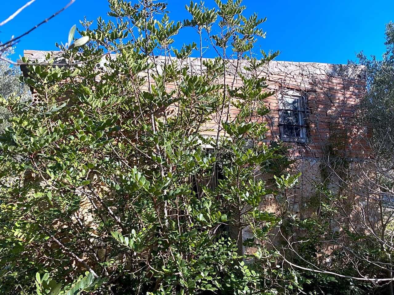 Terre non Aménagée à vendre à El Perello - 65 000 € (Ref: 8119255)