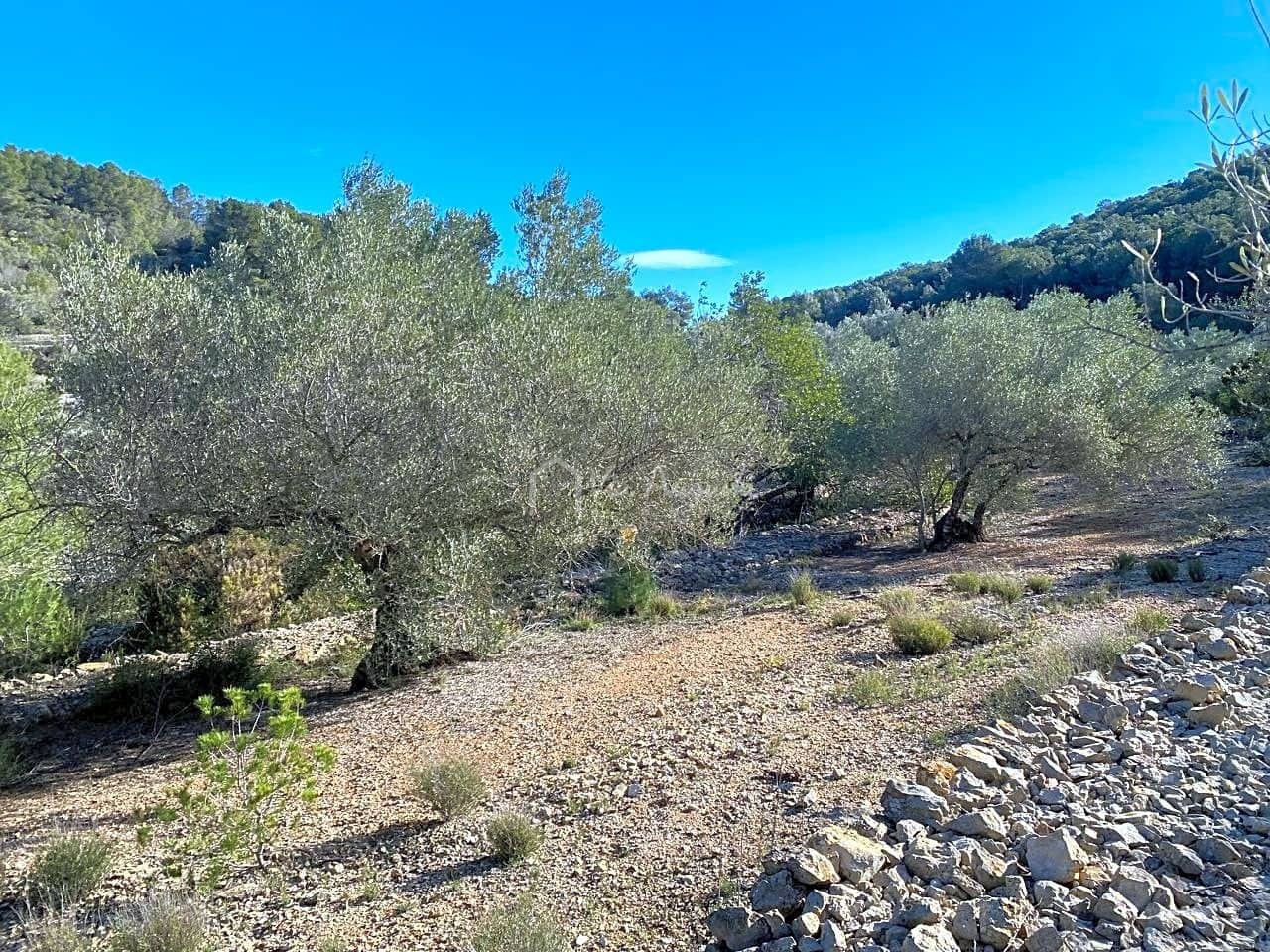 Terre non Aménagée à vendre à El Perello - 65 000 € (Ref: 8119255)