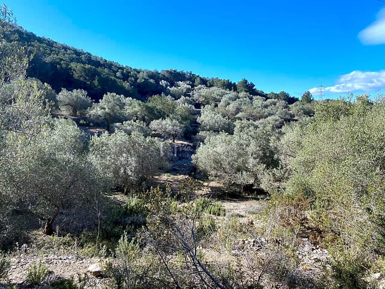 Terre non Aménagée à vendre à El Perello - 65 000 € (Ref: 8119255)