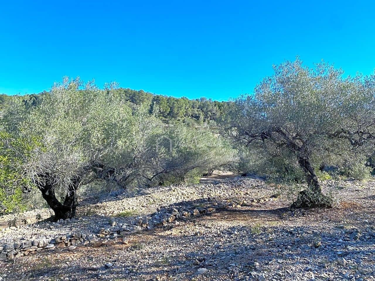 Terre non Aménagée à vendre à El Perello - 65 000 € (Ref: 8119255)