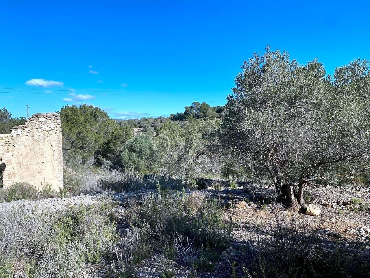 Terre non Aménagée à vendre à El Perello - 65 000 € (Ref: 8119255)